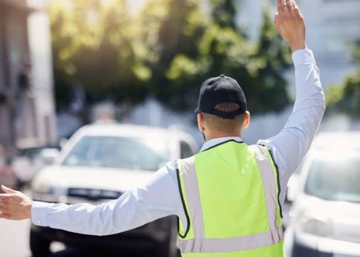 Traffic Marshal