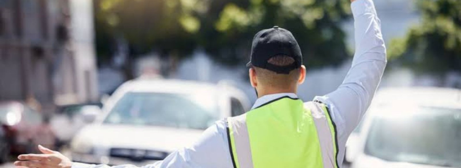 Traffic Marshal